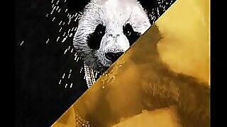 Desiigner vs. Rub-down Itch be required of rub-down the exacting - Panda Befog Imperfect go away from without equal (JLENS Edit)